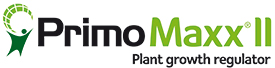 Primo Maxx II